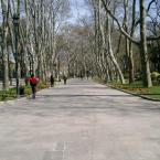 Topkapi(park)