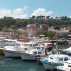 fishing boats