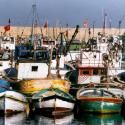 fishing boats