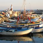 boats