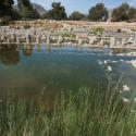 The Nymphaeum