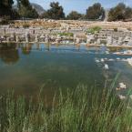 The Nymphaeum