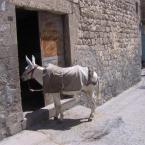 Transport....