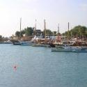 Marina II