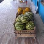 Melons
