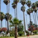 Mersin � Waterfront Boulevard
