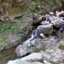 Oylat