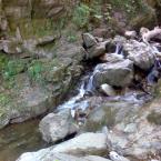 Oylat