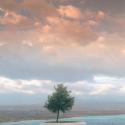 Pamukkale tree