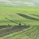 pastoral cycling