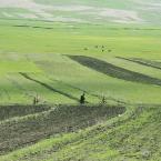 pastoral cycling