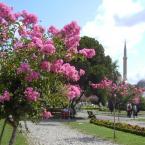 Summer in Sultanahmet