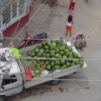 Watermelons