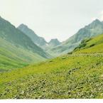 Pictures: orta plateau