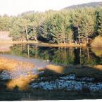 blacklake