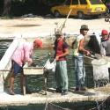 Trout Farm