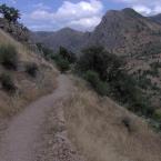 Path