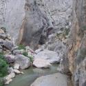 Rocks