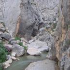 Rocks