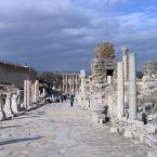 View 15