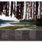 Meri� River