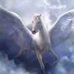 as free as Pegas
