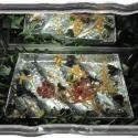 Fresh Fish