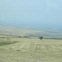 Anatolian field