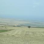 Anatolian field