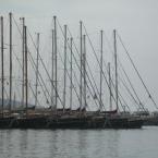 Harbour