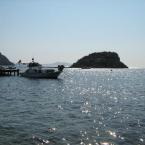 Rabbit Island