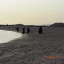 Beach in winter