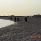 Beach in winter