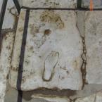 Footprint