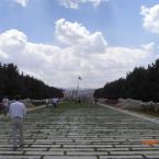 The Road of Lions