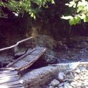 wooden bridge