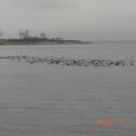 Sapanca Lake on winter