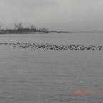 Sapanca Lake on winter