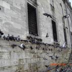 Yeni Camii