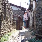 street