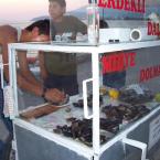 Muscle selling Mussels