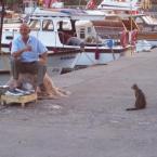 Fishing
