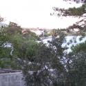 Seaview