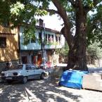 Street Market