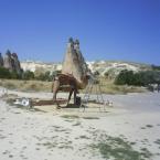 Pictures: Camel