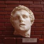 Lysimachus