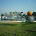 oranges