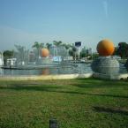 oranges