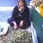 Hazlenuts