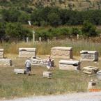 Efes